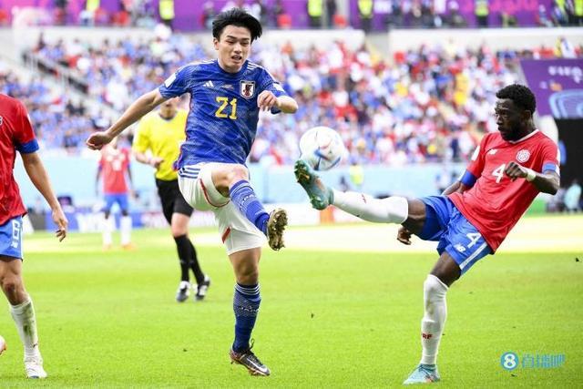 显然源于对 显然源于对