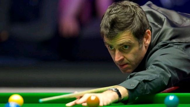 的职业生涯 的职业生涯